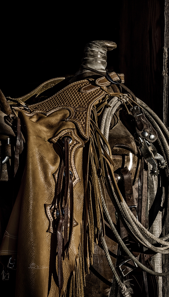 Click here to view Western artwork by David W Schafer