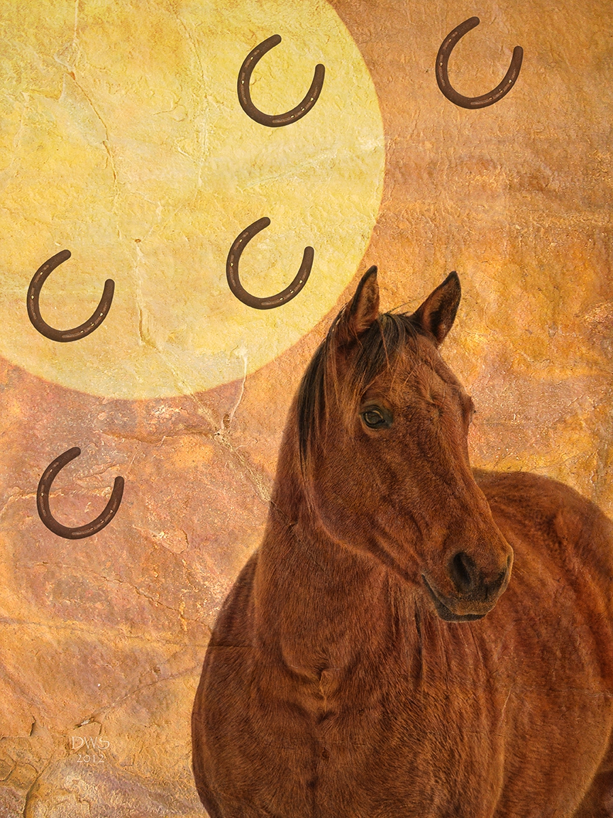 Horsehoe Lady by David W Schafer
