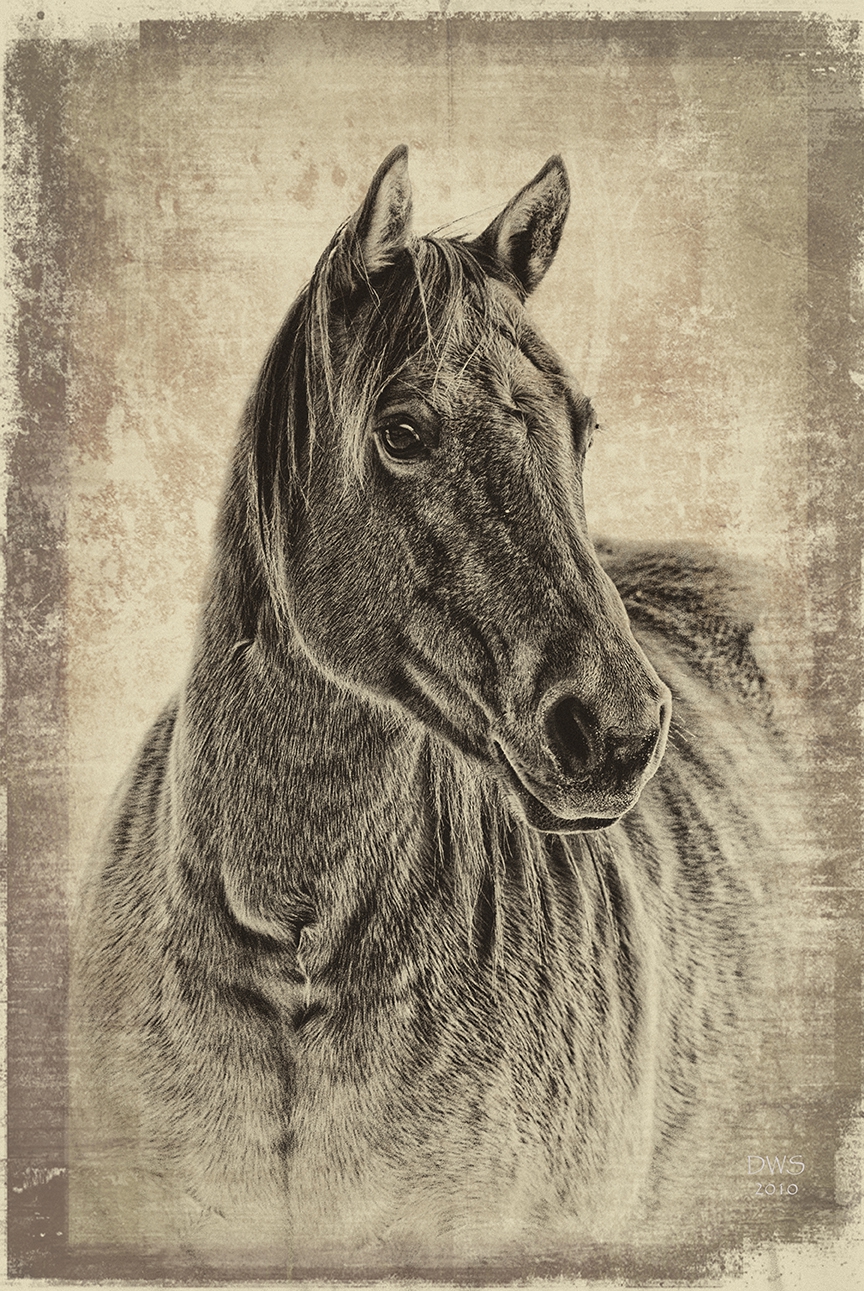 Lady in Waiting by David W Schafer