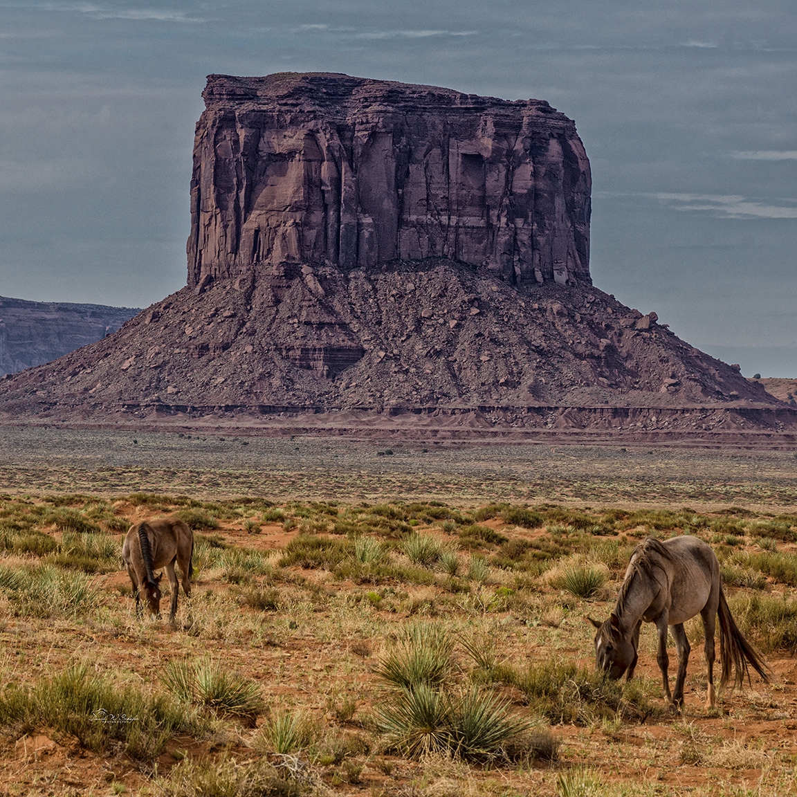 Monument Mare & Foal by David W Schafer