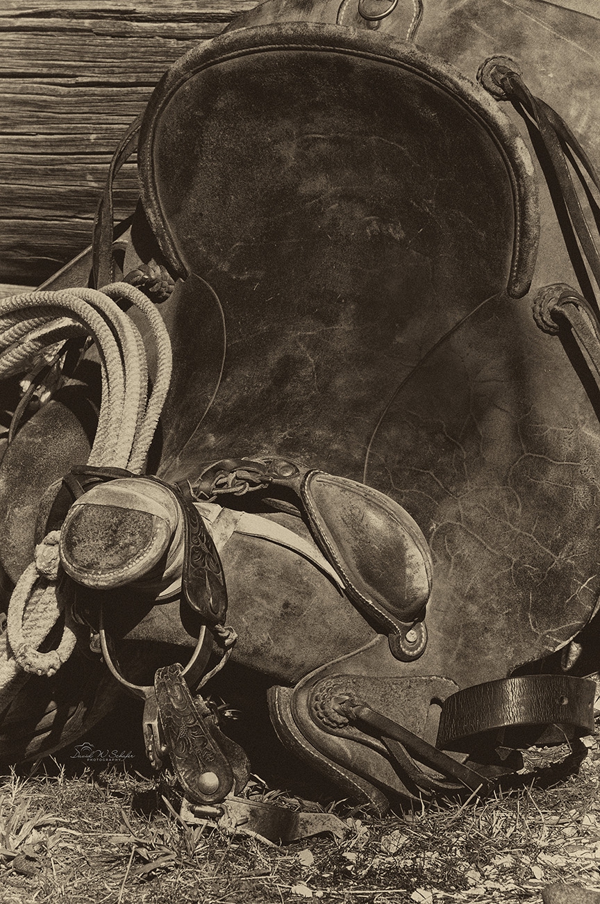 Click here to view Rustic Saddle by David W Schafer