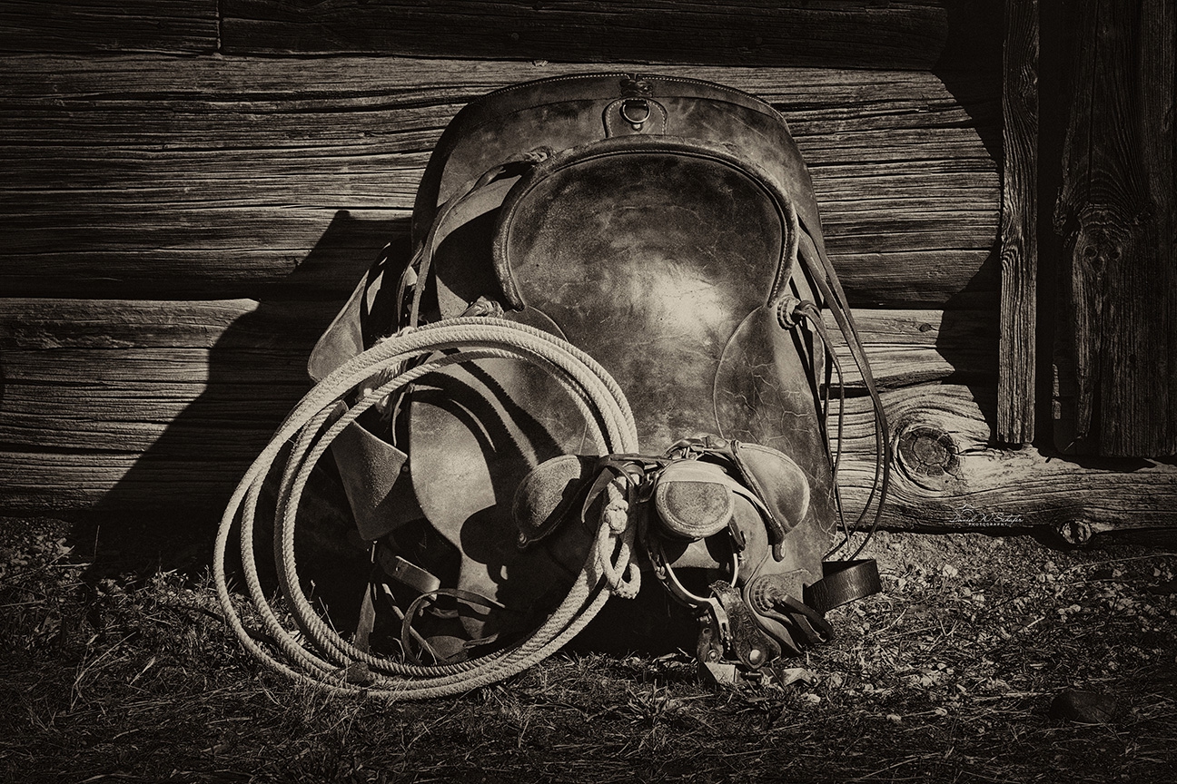 Click here to view Weathered Saddle Serenade by David W Schafer