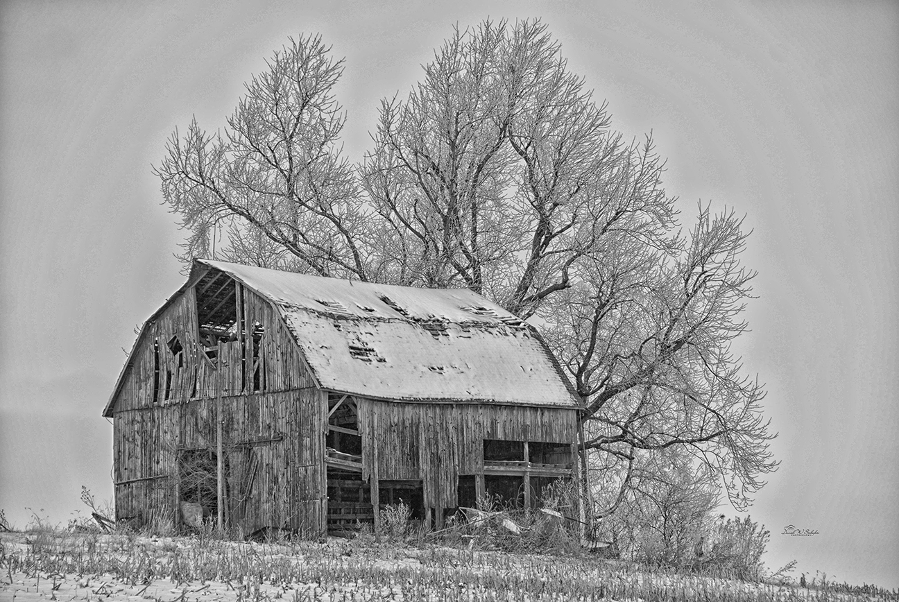 Click here to view Barns artwork by David W Schafer