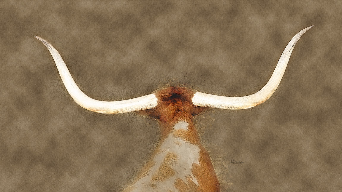 Longhorn Steer's Pride by David W Schafer