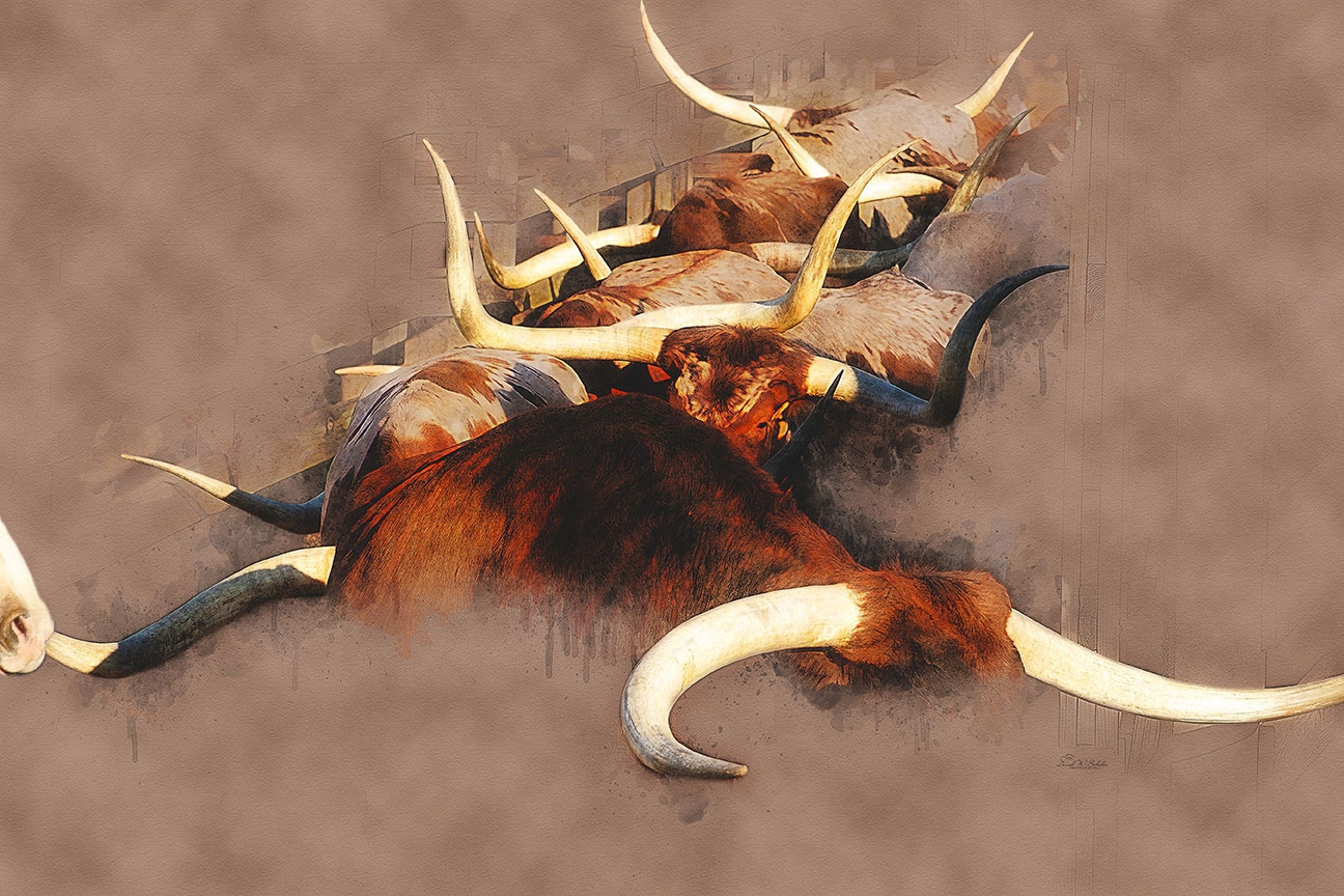 Click here to view Horns A Plenty by David W Schafer