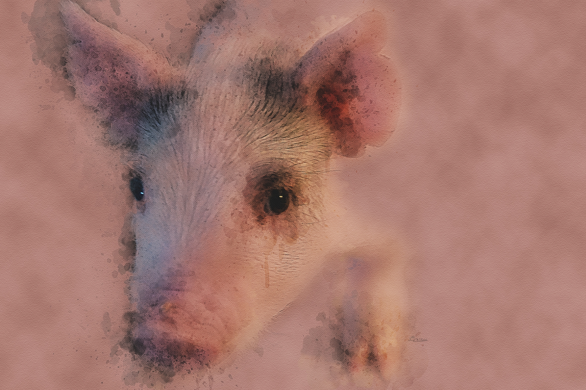 Pastel Piggy Ponderings by David W Schafer