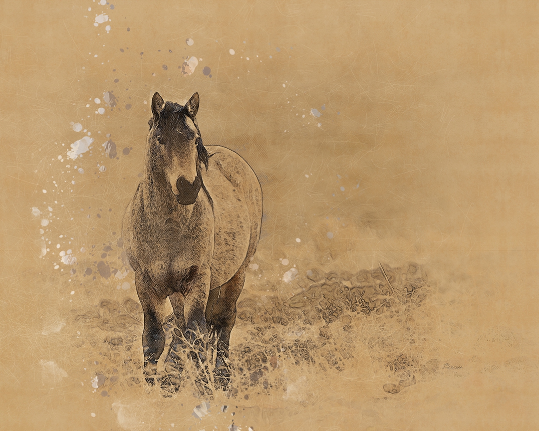 Click here to view Vintage Buckskin by David W Schafer