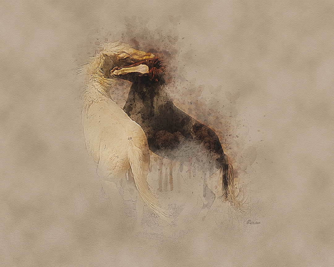 Mane Dispute by David W Schafer