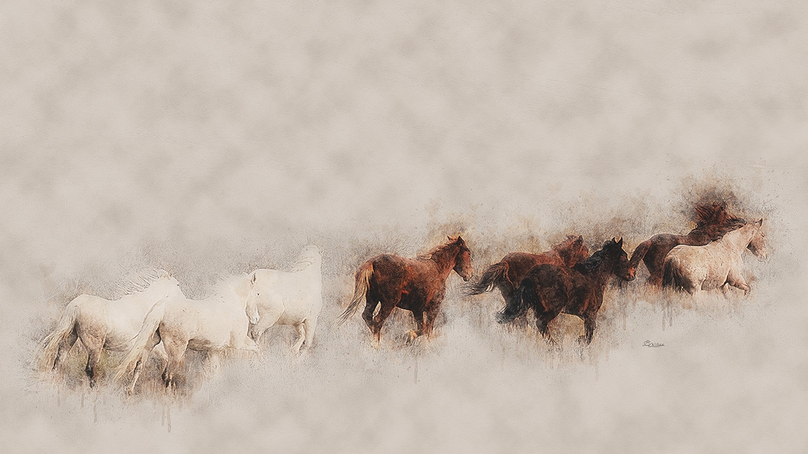 Click here to view Running Wild by David W Schafer