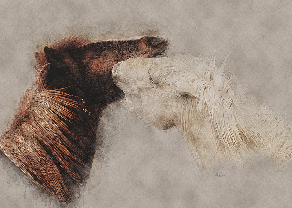 Enough! by David W Schafer