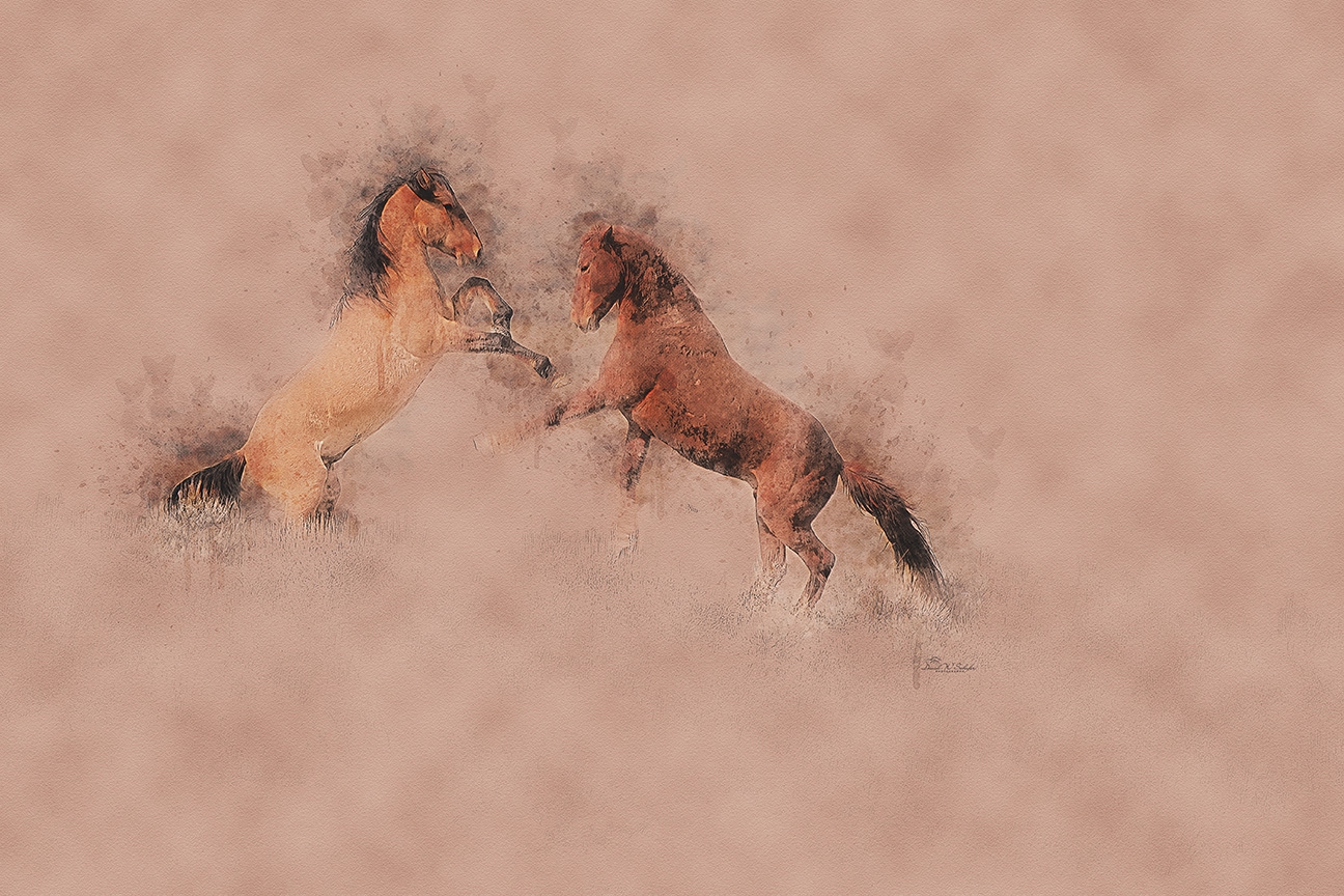 Dusty Duel Mane-ia by David W Schafer
