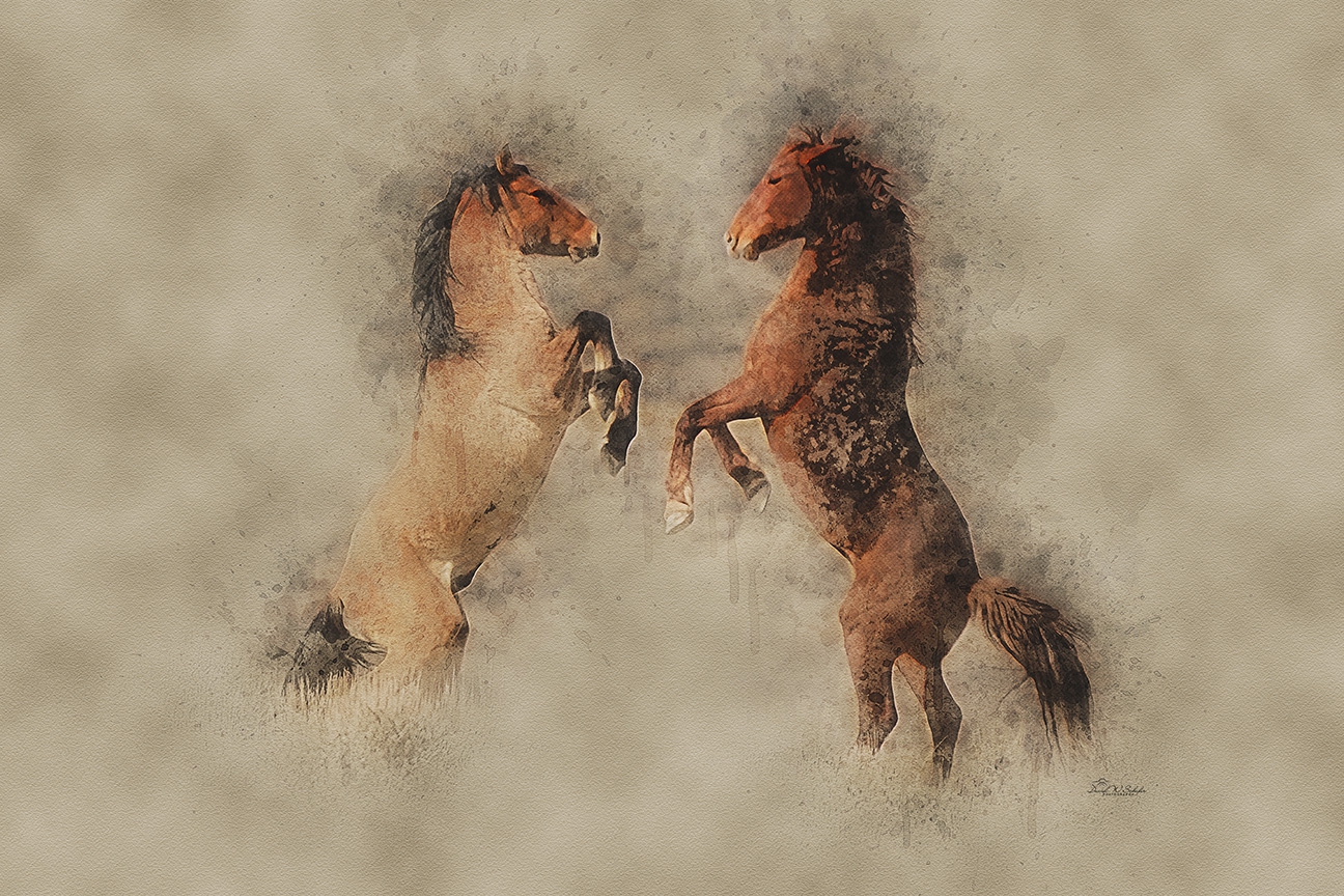 Click here to view Heart of a Stallion by David W Schafer