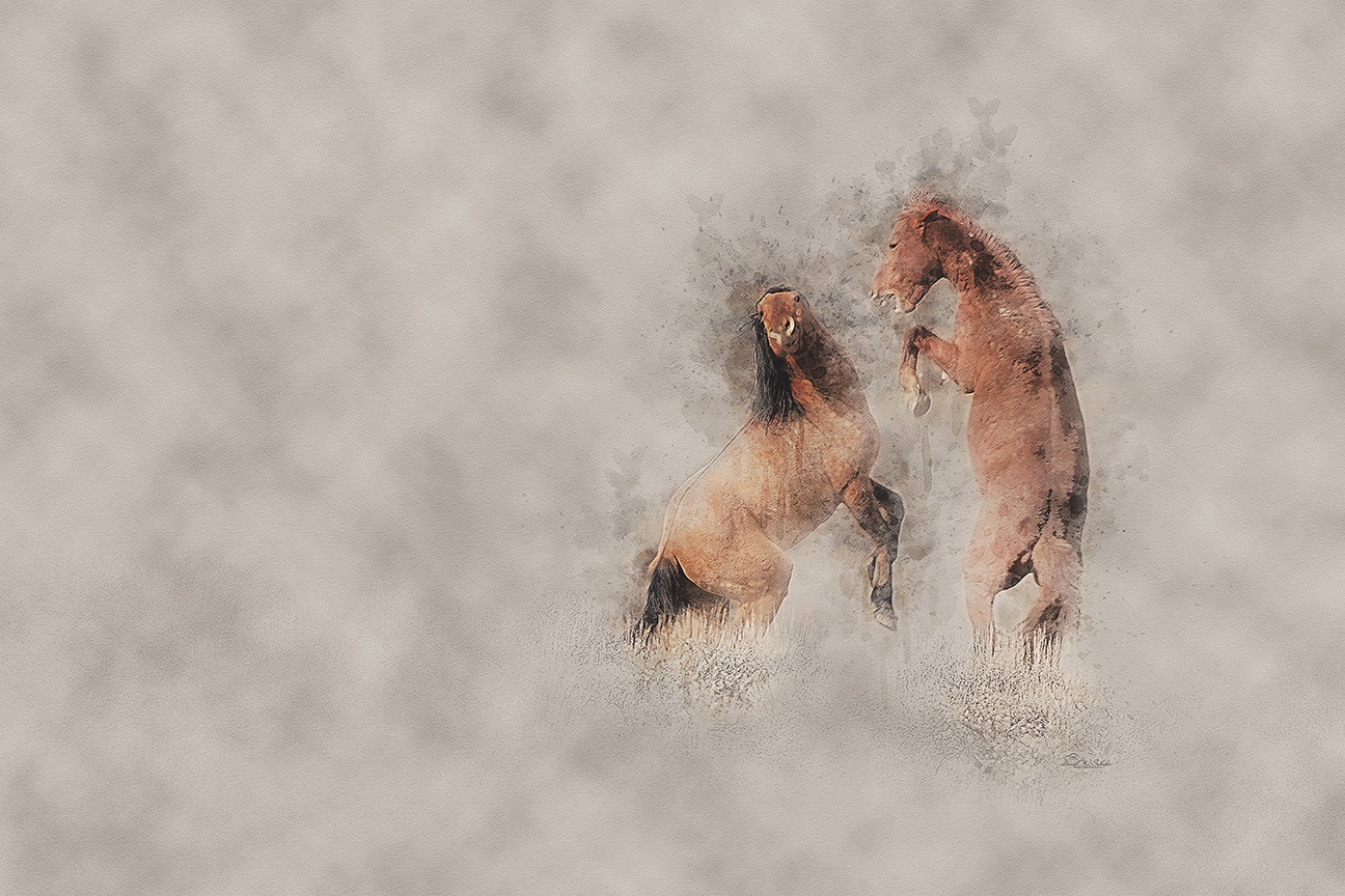 Click here to view Stallion Skirmish by David W Schafer