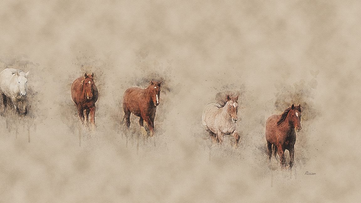 Click here to view Cinco Caballos by David W Schafer