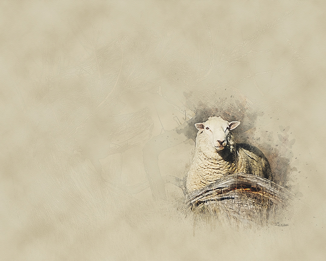 Click here to view Behind Rustic Elegance by David W Schafer