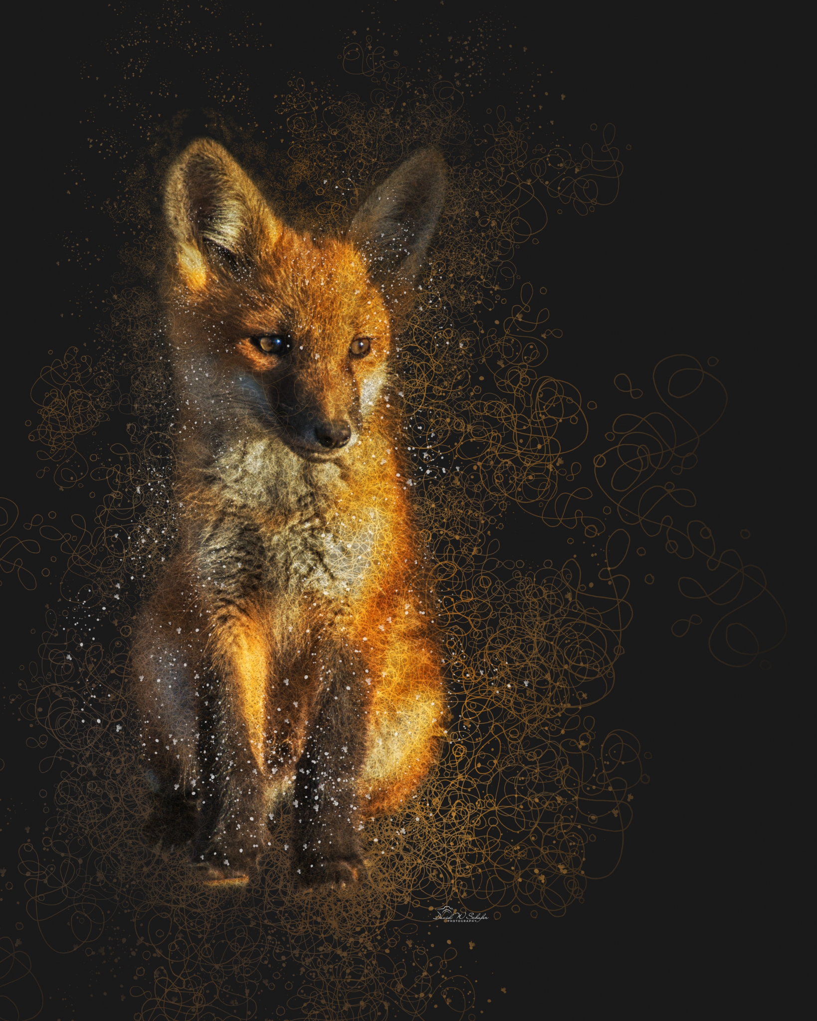 Click here to view Fur & Whimsy: Fox's Fancy by David W Schafer