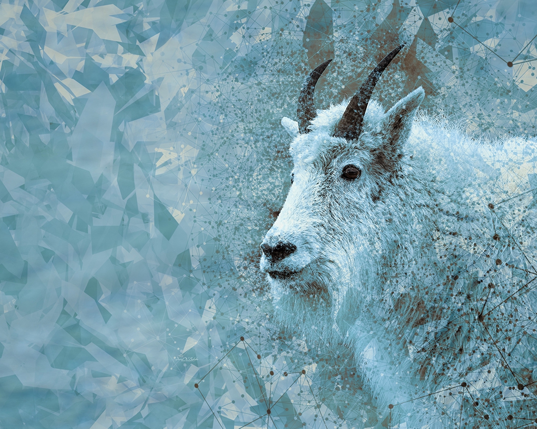 Click here to view Mountain Goat Geometrics by David W Schafer