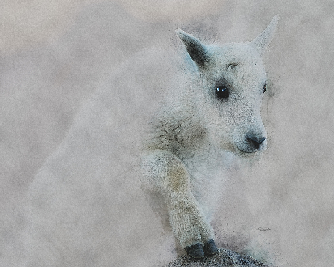 Steppin' Up by David W Schafer