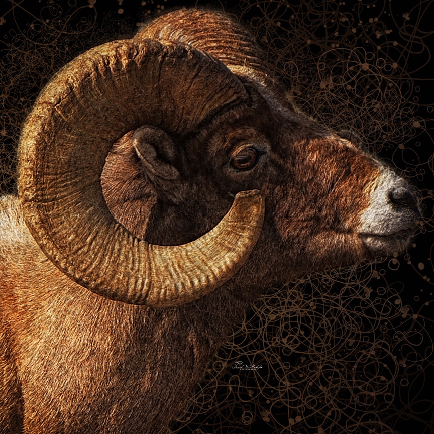 Click here to view Majestic Bighorn Amid Abstract Swirls by David W Schafer