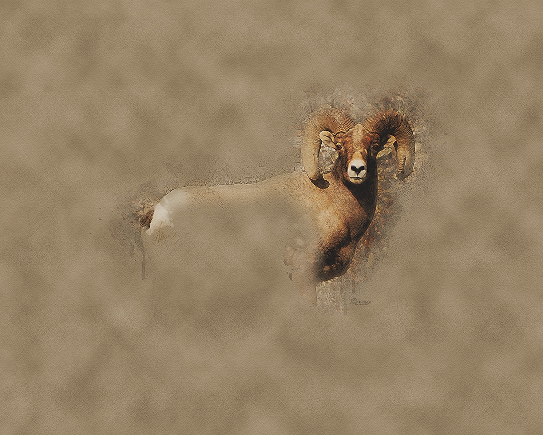 Click here to view Bighorn Spirit in Organic Symphony by David W Schafer
