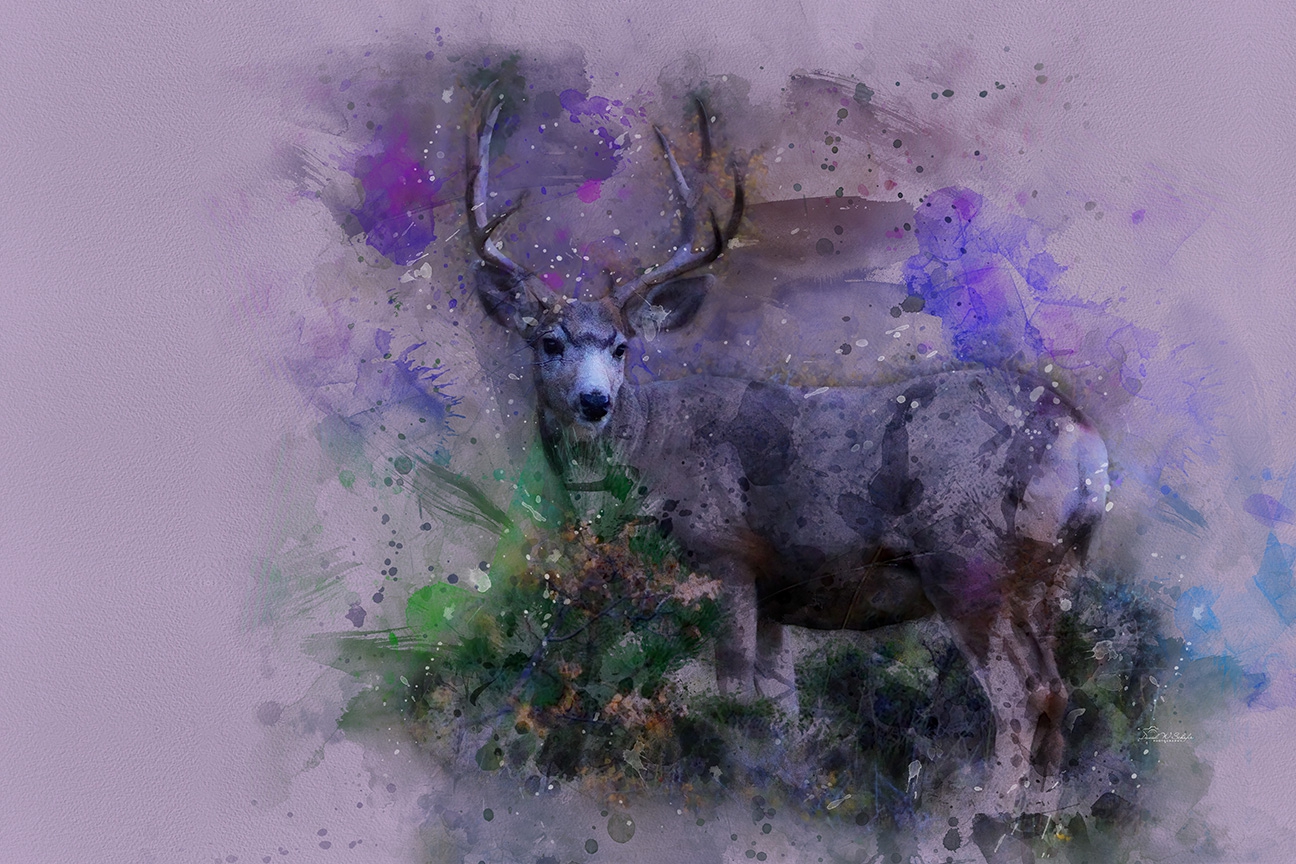 Click here to view Mystical Stag in Serene Splatters by David W Schafer