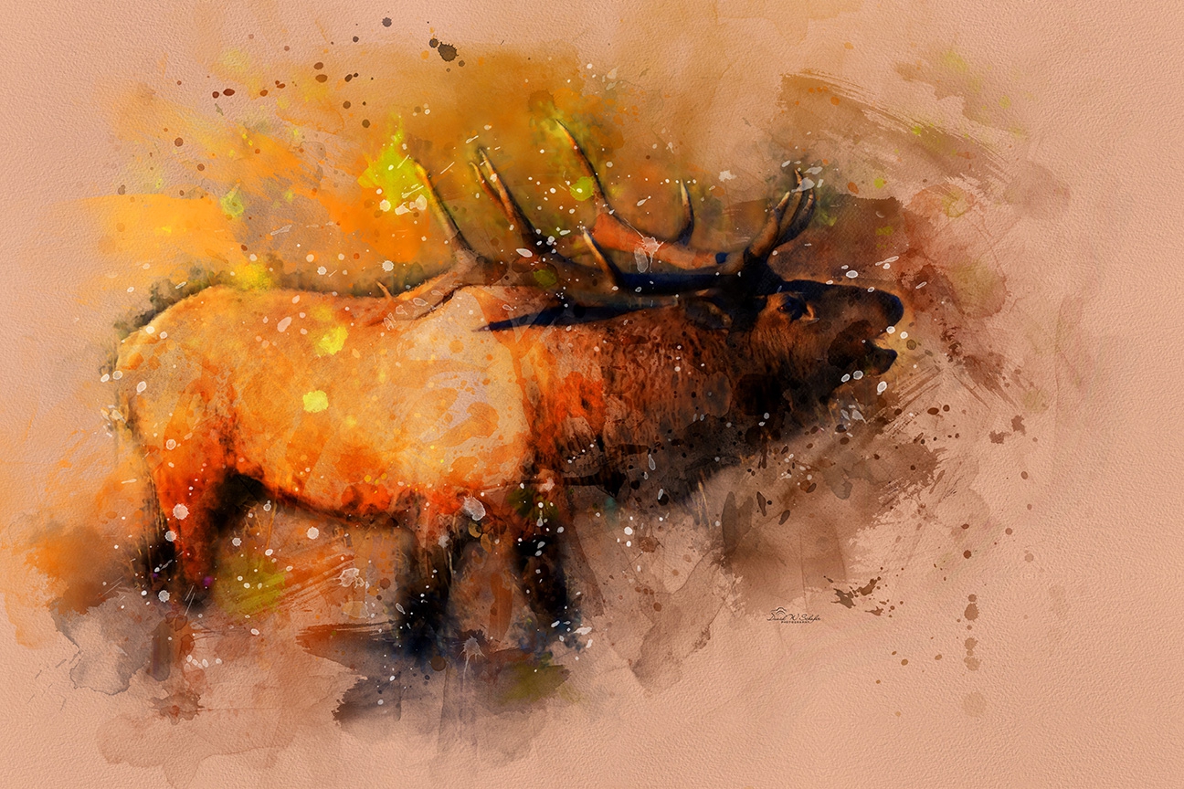 Click here to view Rustic Echoes: Bull's Bugle by David W Schafer