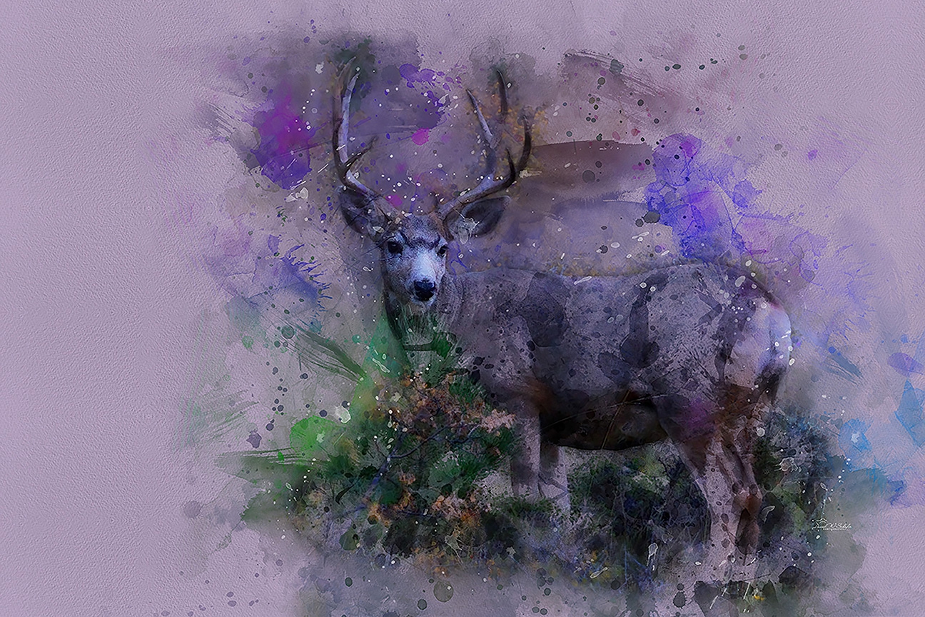 Click here to view Mystical Stag in Serene Splatters by David W Schafer