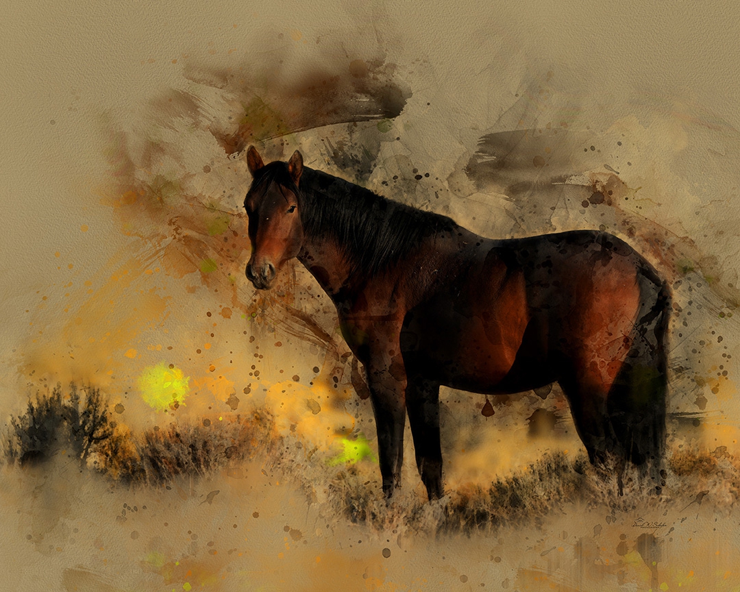 Onaqui Bay Stallion by David W Schafer