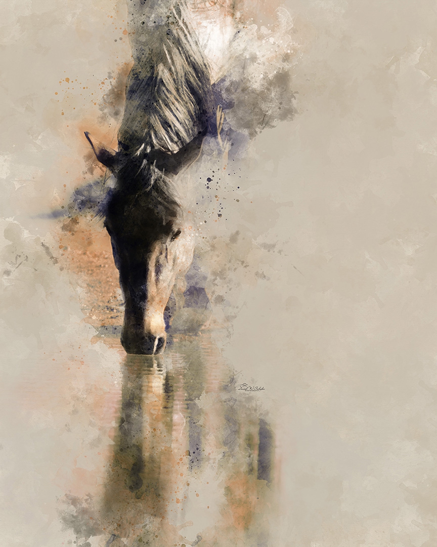 Horse's Reflective Hues by David W Schafer