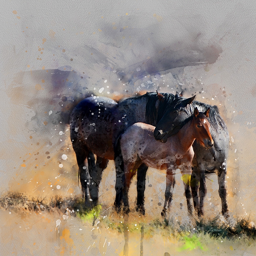 Click here to view Equine Family Moment by David W Schafer
