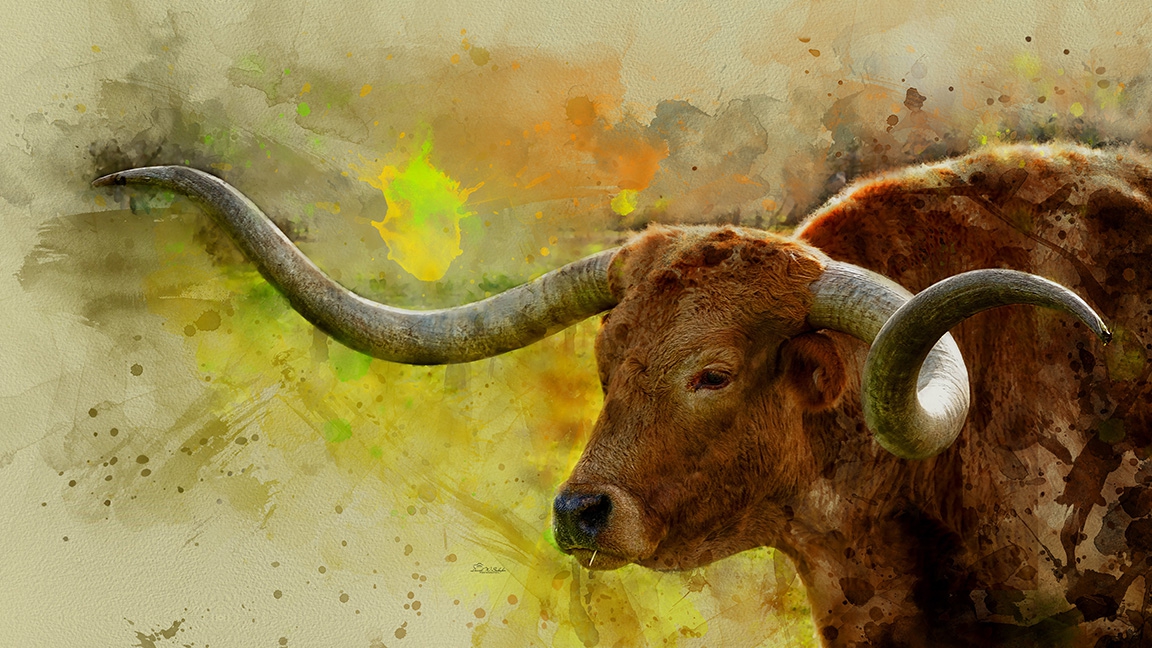 Longhorn's Whimsical Watercolor Waltz by David W Schafer