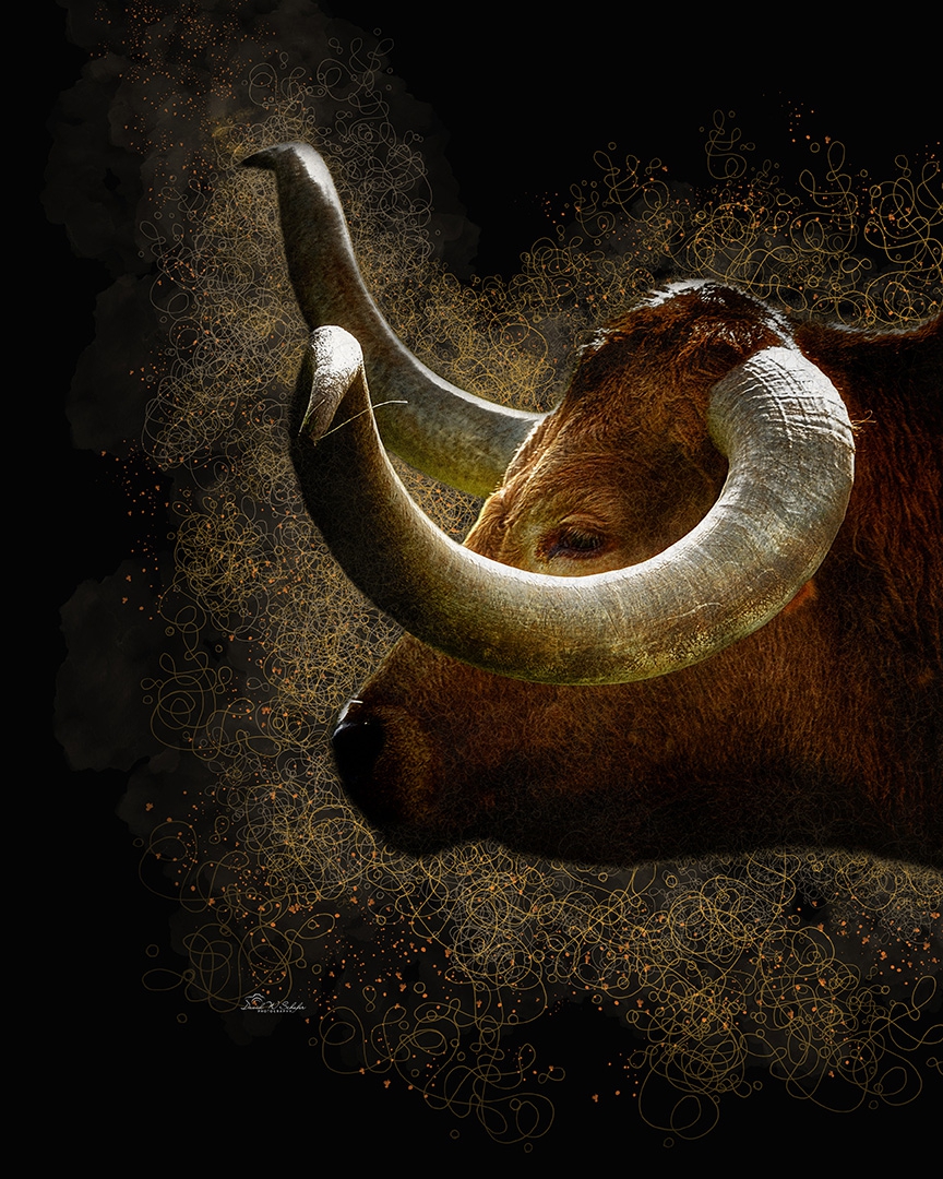 Click here to view Whispers of Dust, Horns of Wonder by David W Schafer