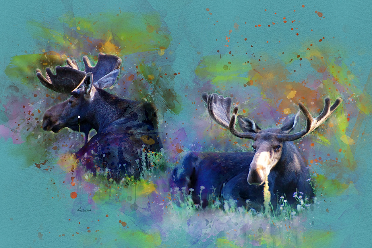 Vibrant Mosaic of Moose by David W Schafer