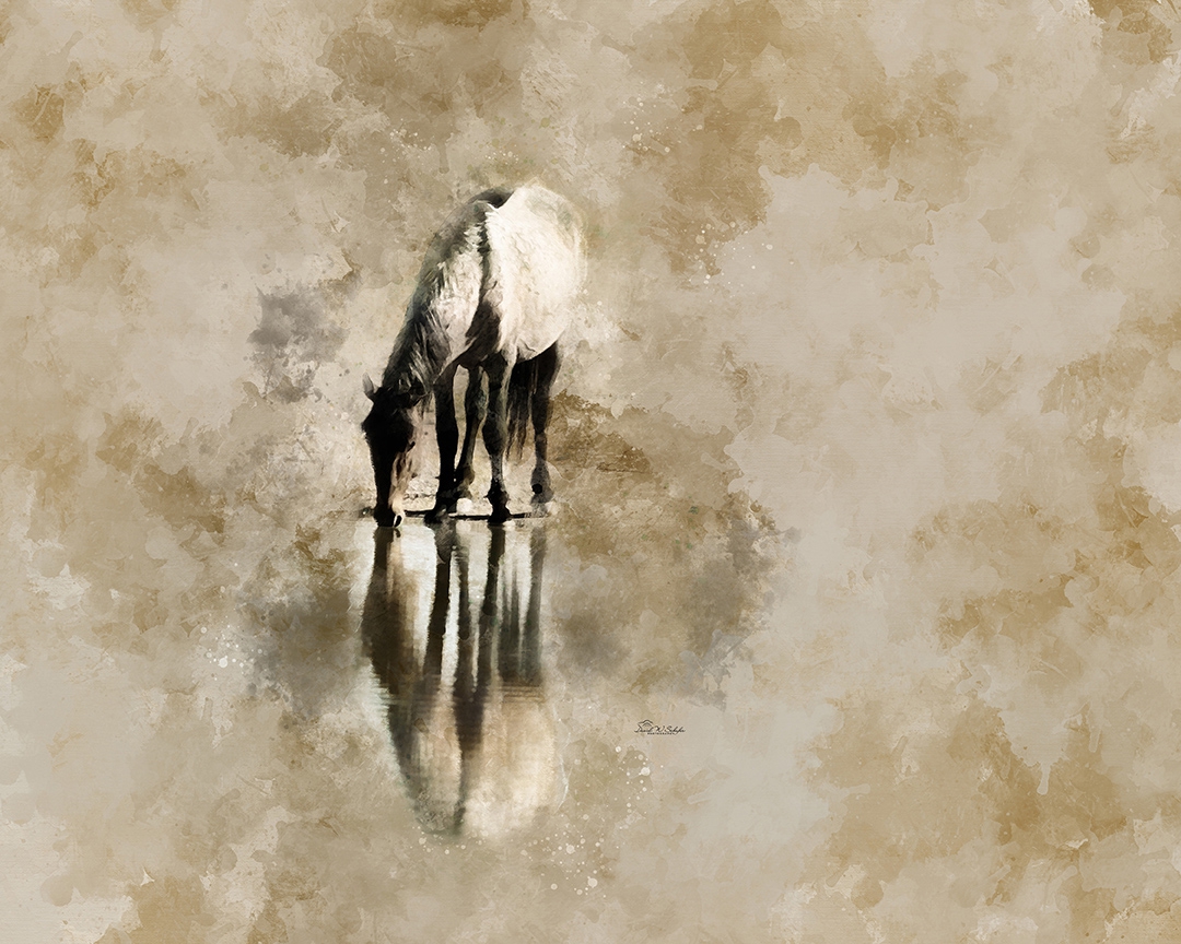 Click here to view Rippling Equine Reflection by David W Schafer