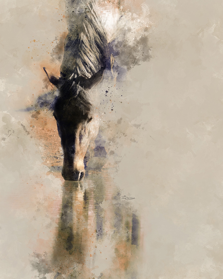 Click here to view Horse's Reflective Hues by David W Schafer