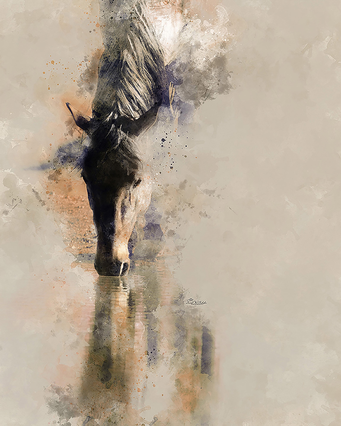 Click here to view Horse's Reflective Hues by David W Schafer