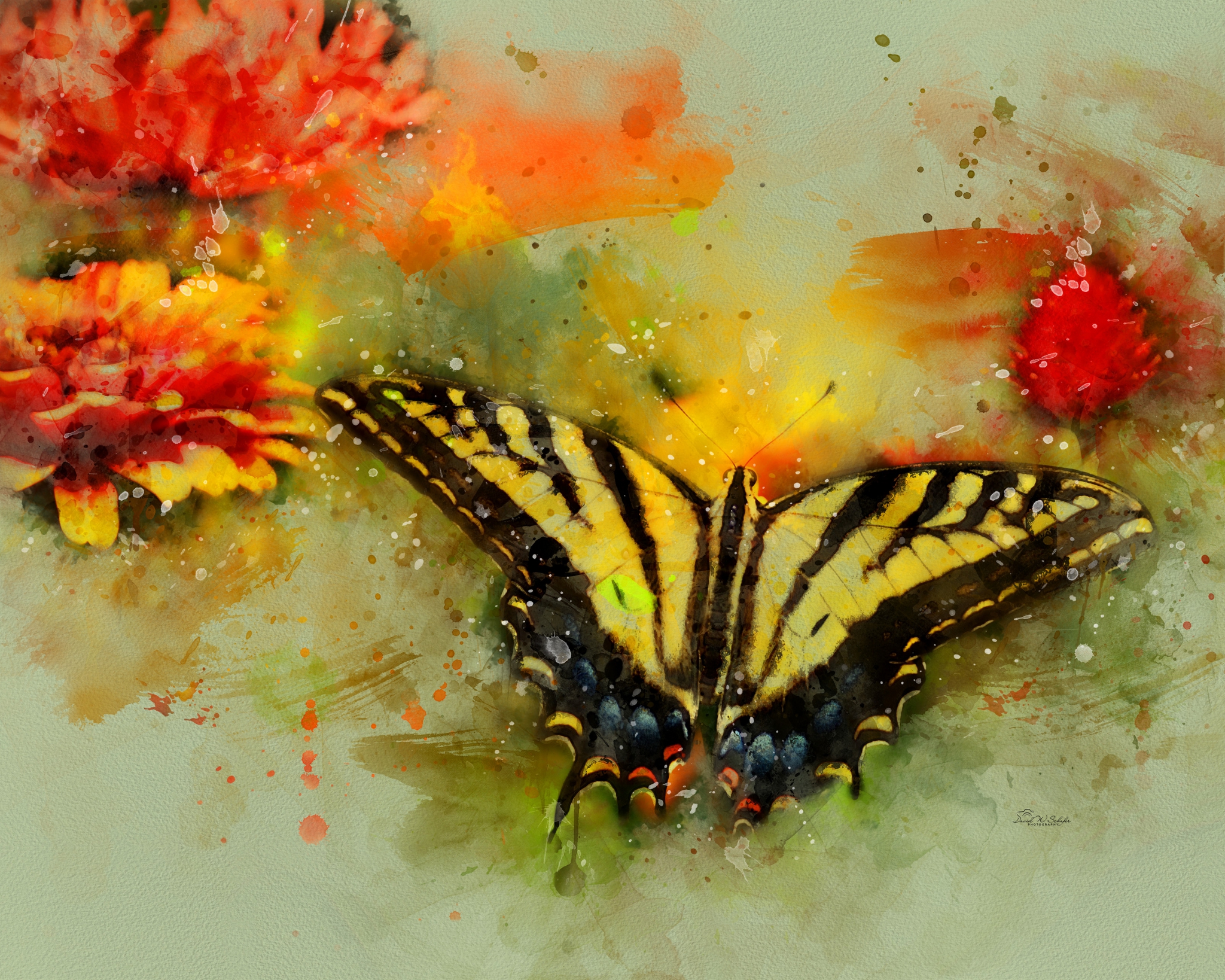 Click here to view Dancing Flutterby by David W Schafer