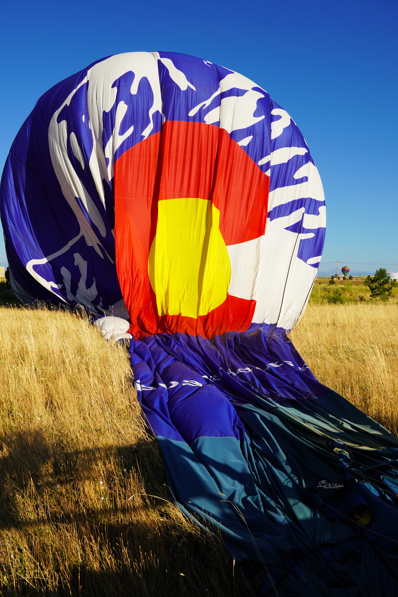 Click here to view Finished Flight by David W Schafer